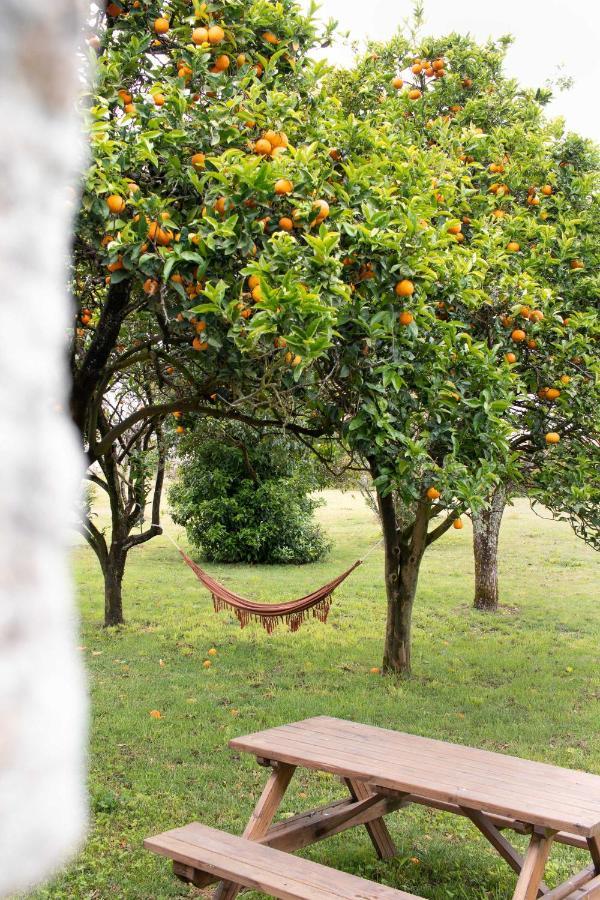 Quintal Country Houses Vila Praia de Âncora Εξωτερικό φωτογραφία